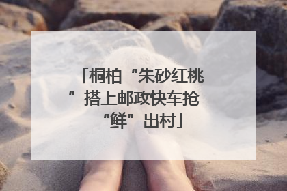 桐柏“朱砂红桃”搭上邮政快车抢“鲜”出村