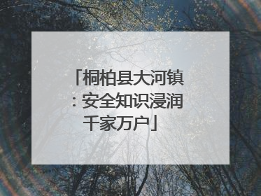 桐柏县大河镇：安全知识浸润千家万户