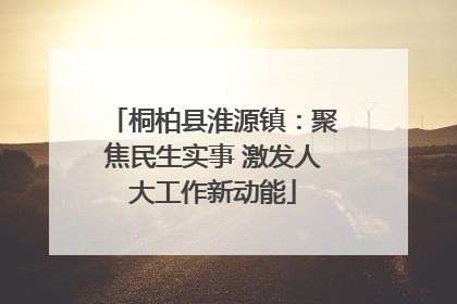 桐柏县淮源镇：聚焦民生实事 激发人大工作新动能