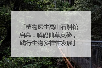 植物医生高山石斛馆启幕：解码仙草奥秘，践行生物多样性发展