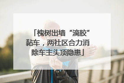 槐树出墙“滴胶”黏车，两社区合力消除车主头顶隐患