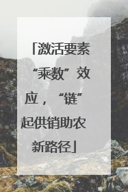 激活要素“乘数”效应，“链”起供销助农新路径