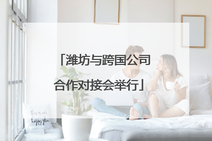 潍坊与跨国公司合作对接会举行