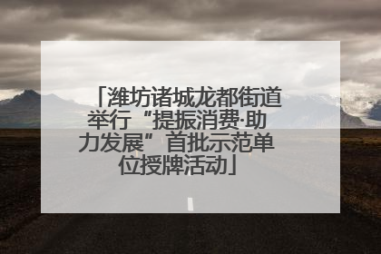 潍坊诸城龙都街道举行“提振消费·助力发展”首批示范单位授牌活动