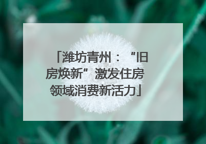 潍坊青州：“旧房焕新”激发住房领域消费新活力