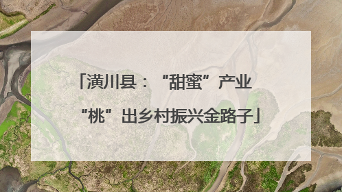 潢川县：“甜蜜”产业  “桃”出乡村振兴金路子