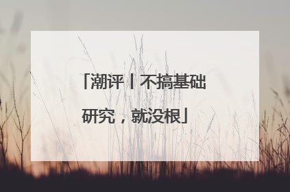 潮评丨不搞基础研究，就没根