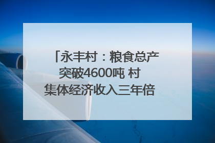 永丰村：粮食总产突破4600吨 村集体经济收入三年倍增｜牵挂的村
