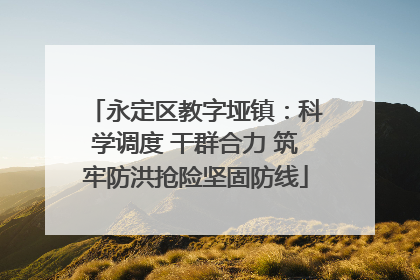 永定区教字垭镇：科学调度 干群合力 筑牢防洪抢险坚固防线