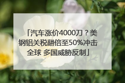 汽车涨价4000刀？美钢铝关税翻倍至50%冲击全球 多国威胁反制