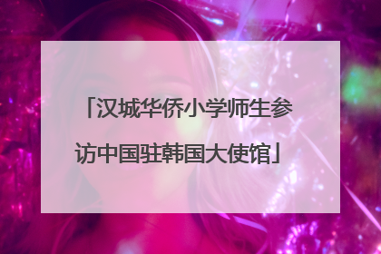 汉城华侨小学师生参访中国驻韩国大使馆