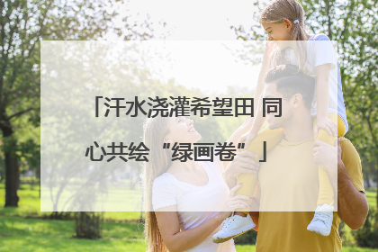汗水浇灌希望田 同心共绘“绿画卷”