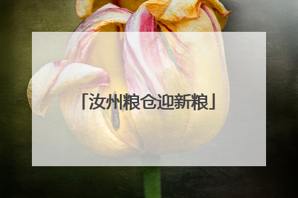 汝州粮仓迎新粮