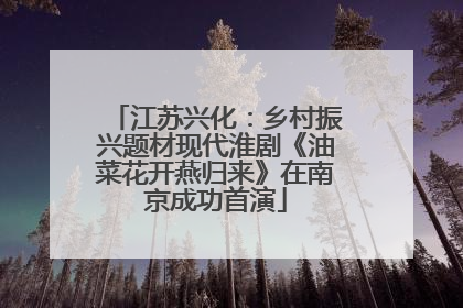 江苏兴化：乡村振兴题材现代淮剧《油菜花开燕归来》在南京成功首演
