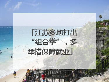 江苏多地打出“组合拳”，多举措保障就业