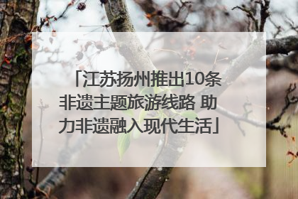 江苏扬州推出10条非遗主题旅游线路 助力非遗融入现代生活