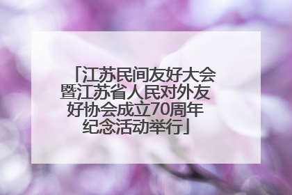 江苏民间友好大会暨江苏省人民对外友好协会成立70周年纪念活动举行