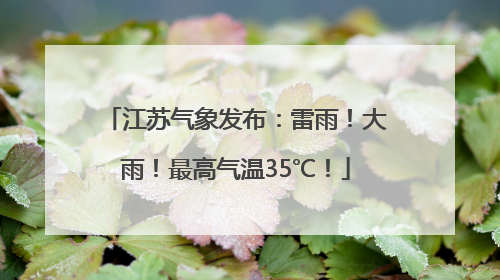 江苏气象发布：雷雨！大雨！最高气温35℃！