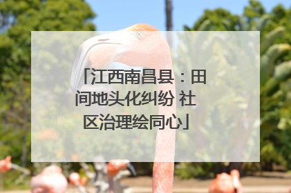江西南昌县：田间地头化纠纷 社区治理绘同心