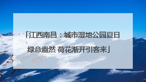江西南昌：城市湿地公园夏日绿意盎然 荷花渐开引客来
