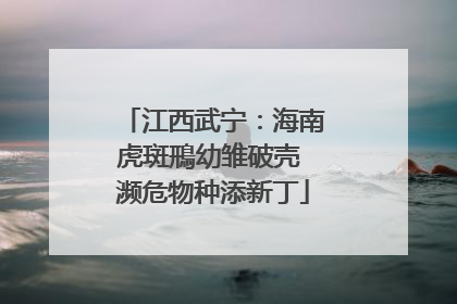 江西武宁：海南虎斑鳽幼雏破壳 濒危物种添新丁