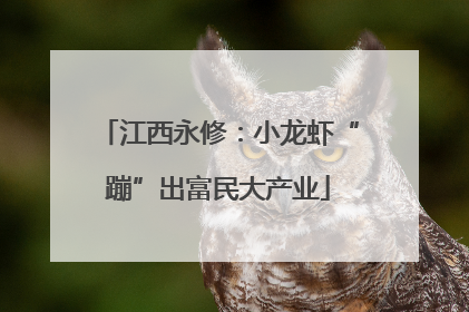江西永修：小龙虾“蹦”出富民大产业