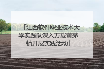 江西软件职业技术大学实践队深入万载黄茅镇开展实践活动