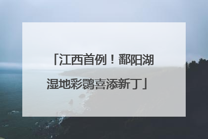 江西首例！鄱阳湖湿地彩鹮喜添新丁
