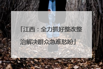 江西：全力抓好整改整治解决群众急难愁盼