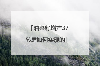 油菜籽增产37%是如何实现的