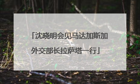 沈晓明会见马达加斯加外交部长拉萨塔一行