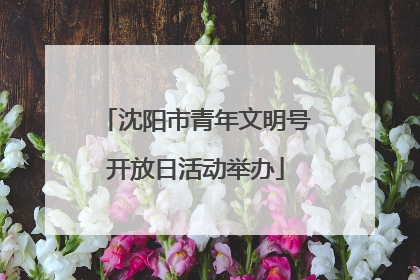沈阳市青年文明号开放日活动举办