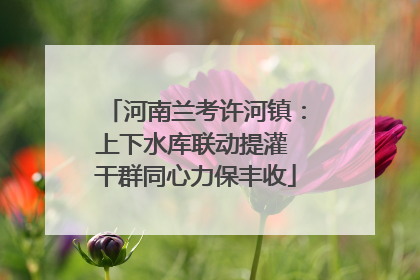 河南兰考许河镇：上下水库联动提灌 干群同心力保丰收