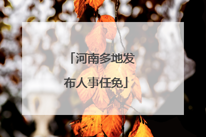 河南多地发布人事任免