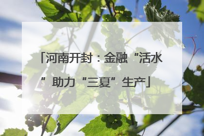 河南开封：金融“活水”助力“三夏”生产