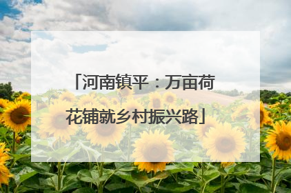 河南镇平：万亩荷花铺就乡村振兴路
