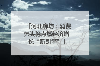 河北廊坊：消费势头稳点燃经济增长“新引擎”