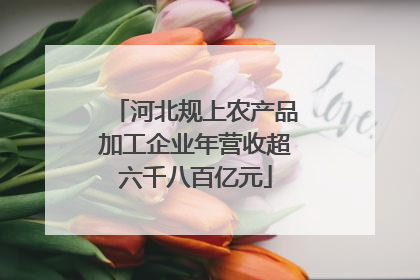 河北规上农产品加工企业年营收超六千八百亿元