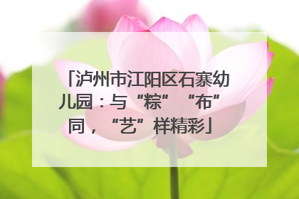 泸州市江阳区石寨幼儿园：与“粽”“布”同，“艺”样精彩