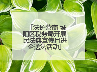 法护营商 城阳区税务局开展民法典宣传月进企送法活动