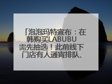 泡泡玛特宣布：在韩购买LABUBU需先抽选！此前线下门店有人通宵排队、吵架动手