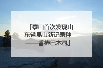 泰山首次发现山东省昆虫新记录种——香椿巴木虱