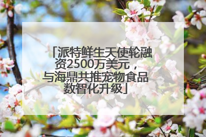 派特鲜生天使轮融资2500万美元，与海鼎共推宠物食品数智化升级