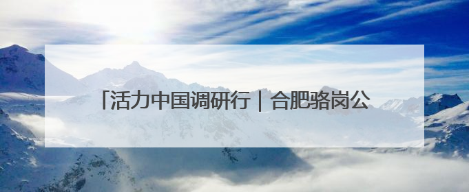 活力中国调研行｜合肥骆岗公园低空观光将正式商业运营