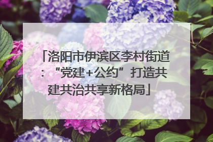 洛阳市伊滨区李村街道：“党建+公约”打造共建共治共享新格局
