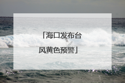 海口发布台风黄色预警
