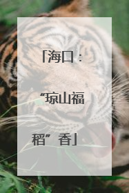 海口：“琼山福稻”香
