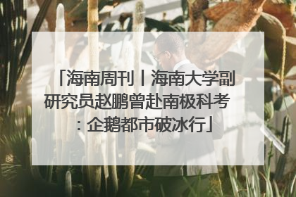 海南周刊丨海南大学副研究员赵鹏曾赴南极科考：企鹅都市破冰行