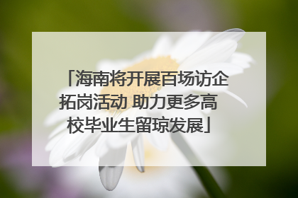 海南将开展百场访企拓岗活动 助力更多高校毕业生留琼发展