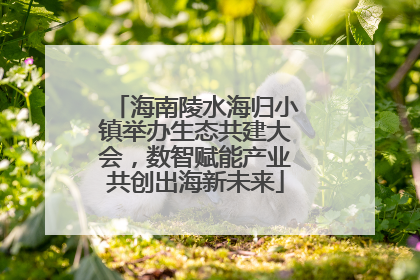 海南陵水海归小镇举办生态共建大会，数智赋能产业共创出海新未来